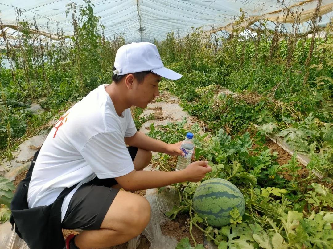 雷火竞技官网