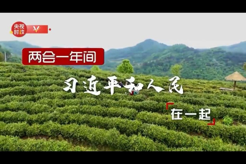雷火竞技官网